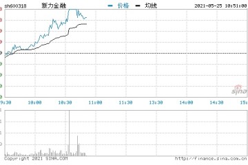 快讯保险板块拉升回暖新力金融大涨9%