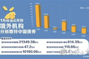 避险+增值上半年境外机构增持中国债券4149.91亿元