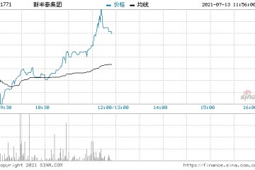 新丰泰集团大涨15%创逾六年新高